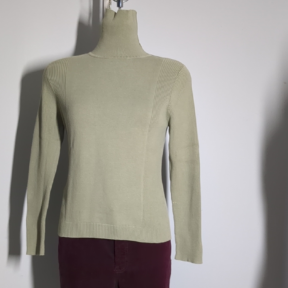 NORTHERN Traditions Elegant Lite Green Turtleneck Sweater 100% Cotton Size M